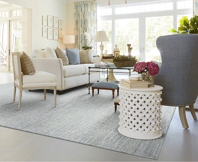 Rug in classic living room