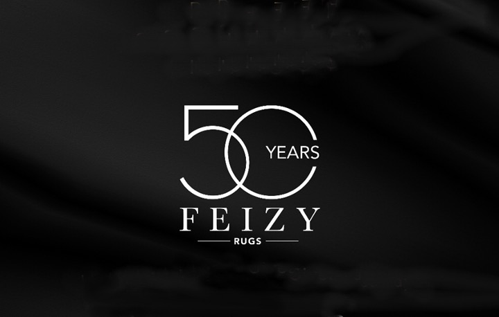 feizy 50 years logo