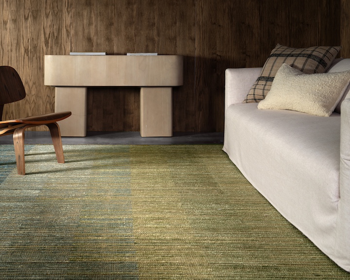 Jaipur Living's Bezem 09 in living room scene