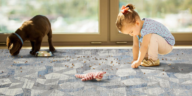 A toddler and brown puppy on a blue and grey rug with kibble scattered on it.