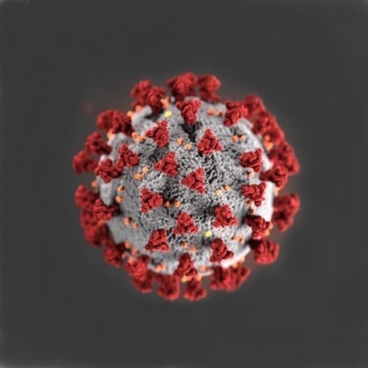 graphic of the COVID-19 virus